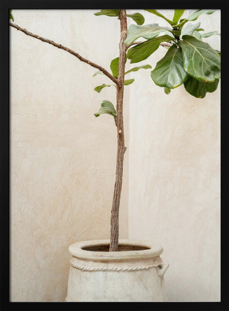 Tree In a Pot Poster