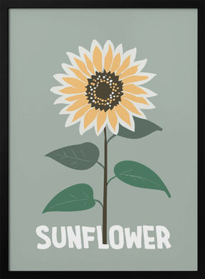 Sunflower Poster