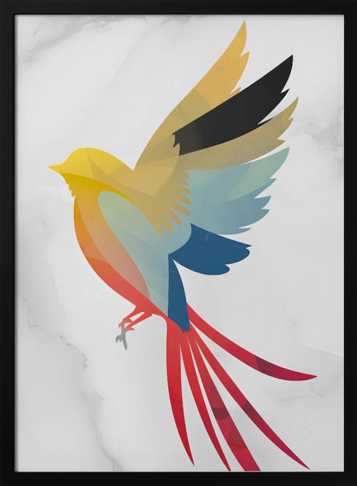 Colorful Bird Poster