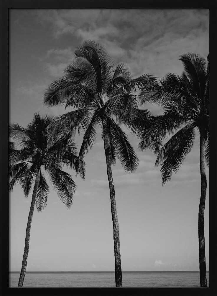 Hawaiian Palms IV Poster