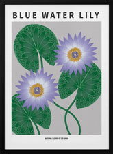 Blue Water Lily - National flower of Sri Lanka Poster