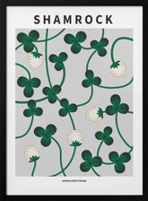 Shamrock - National flower of Ireland Poster