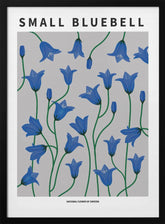 Small Bluebell - National flower of Sweden Poster