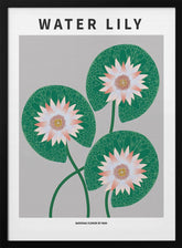 Water Lily - National flower of Iran Poster