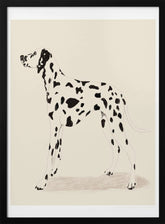 Pandc Dalmation Poster