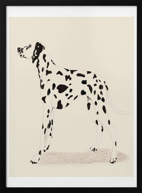 Pandc Dalmation Poster