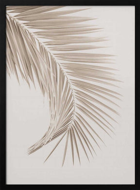 Tan Leaf Poster
