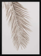 Tan Leaf 2 Poster