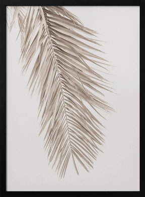Tan Leaf 2 Poster