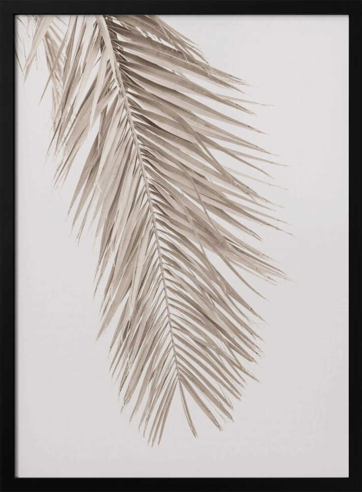 Tan Leaf 2 Poster