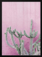 Cactus On Pink Poster
