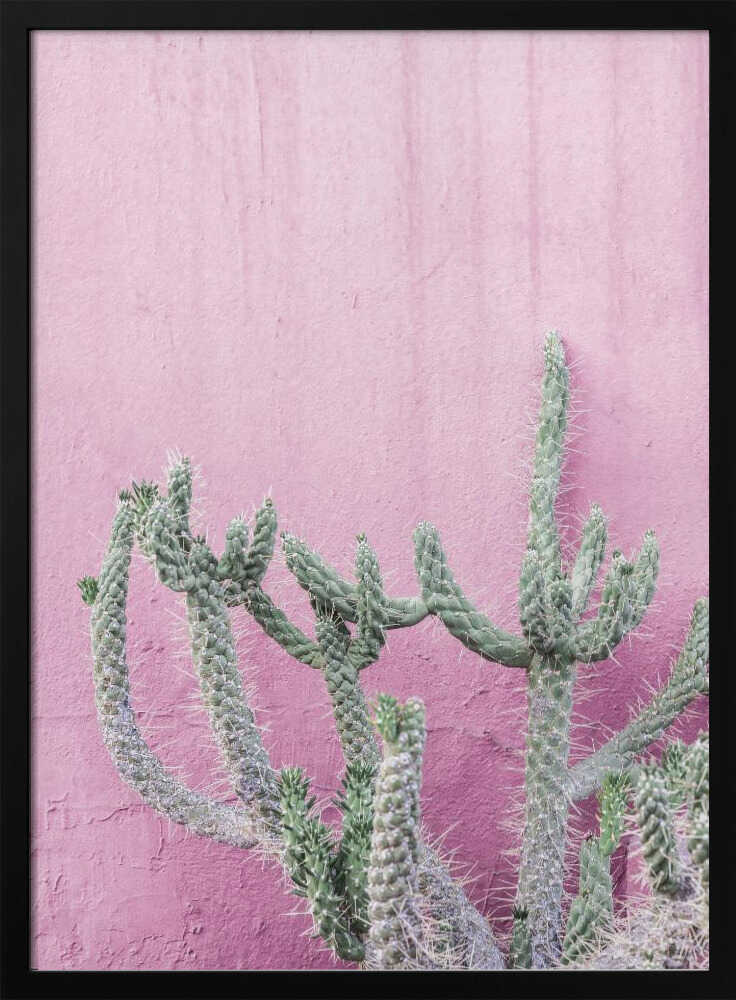 Cactus On Pink Poster