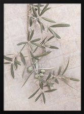 Spanish Tiles Poster