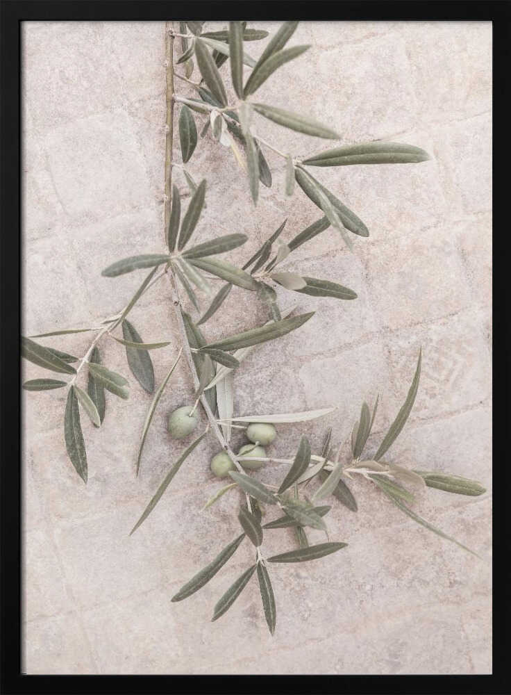 Spanish Tiles Poster