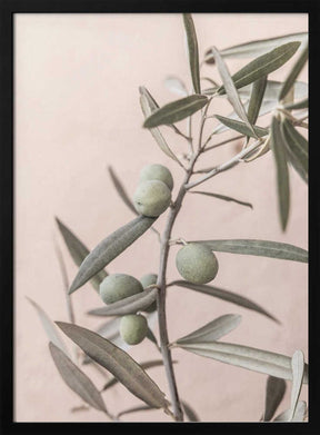 Olives Poster