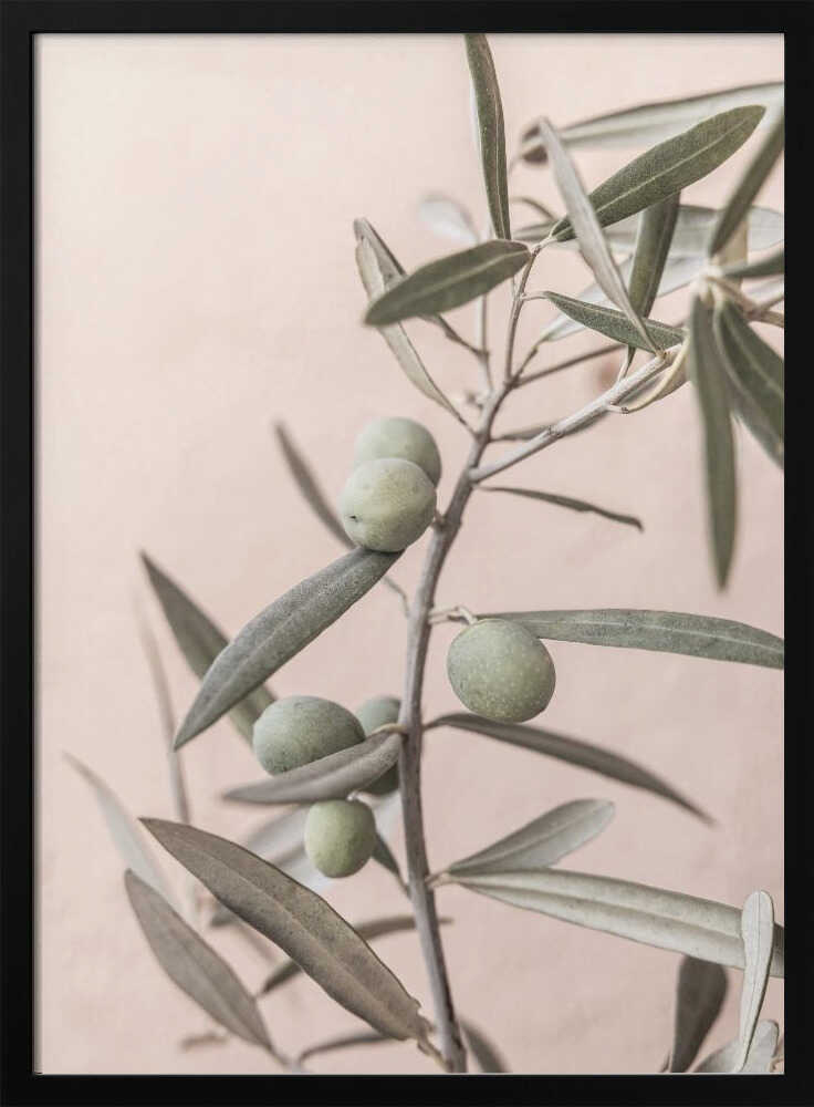 Olives Poster