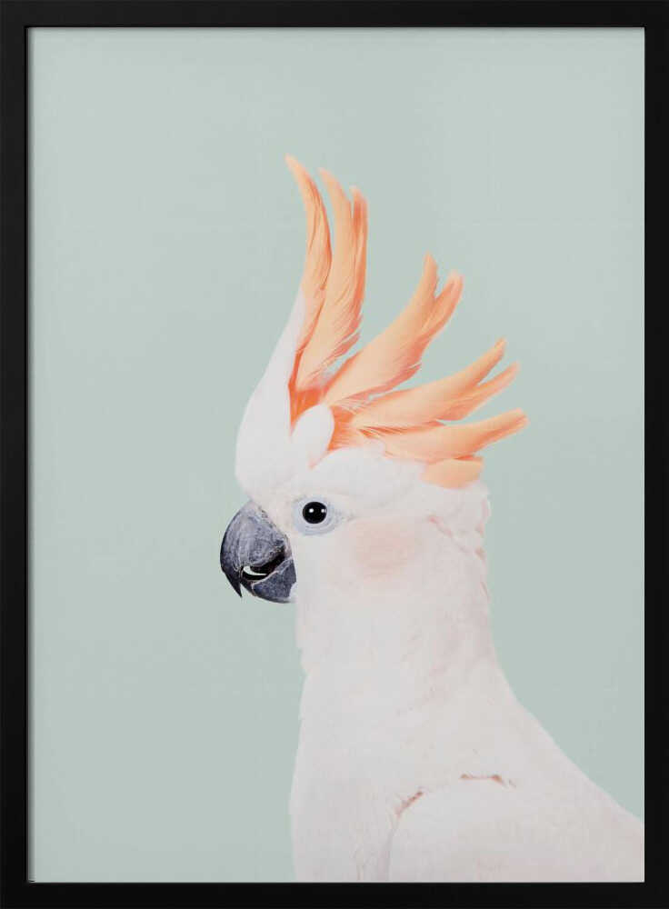 Cockatoo on Mint Poster