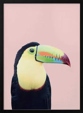 Toucan on Pink Poster