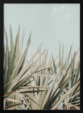 tropical vibes Poster