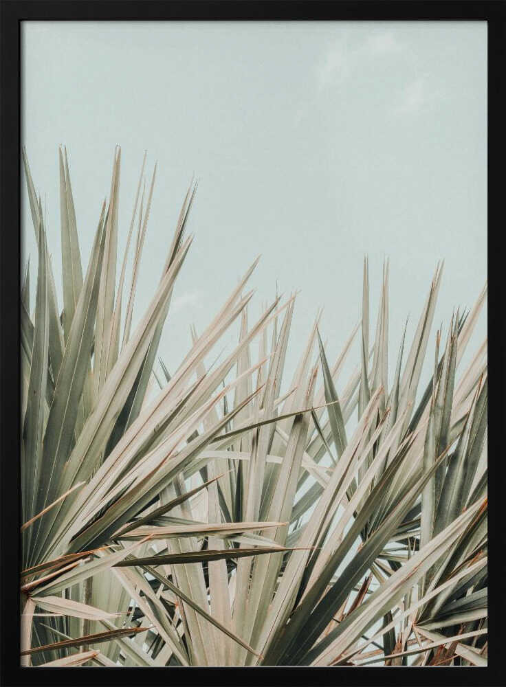 tropical vibes Poster