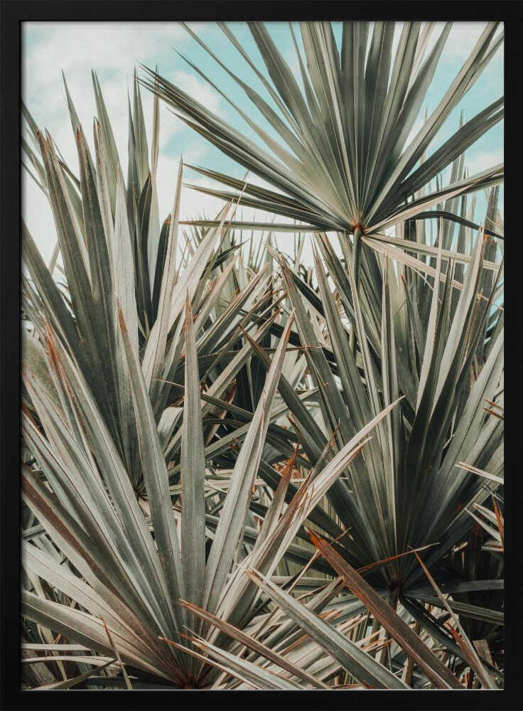 tropical paradise Poster