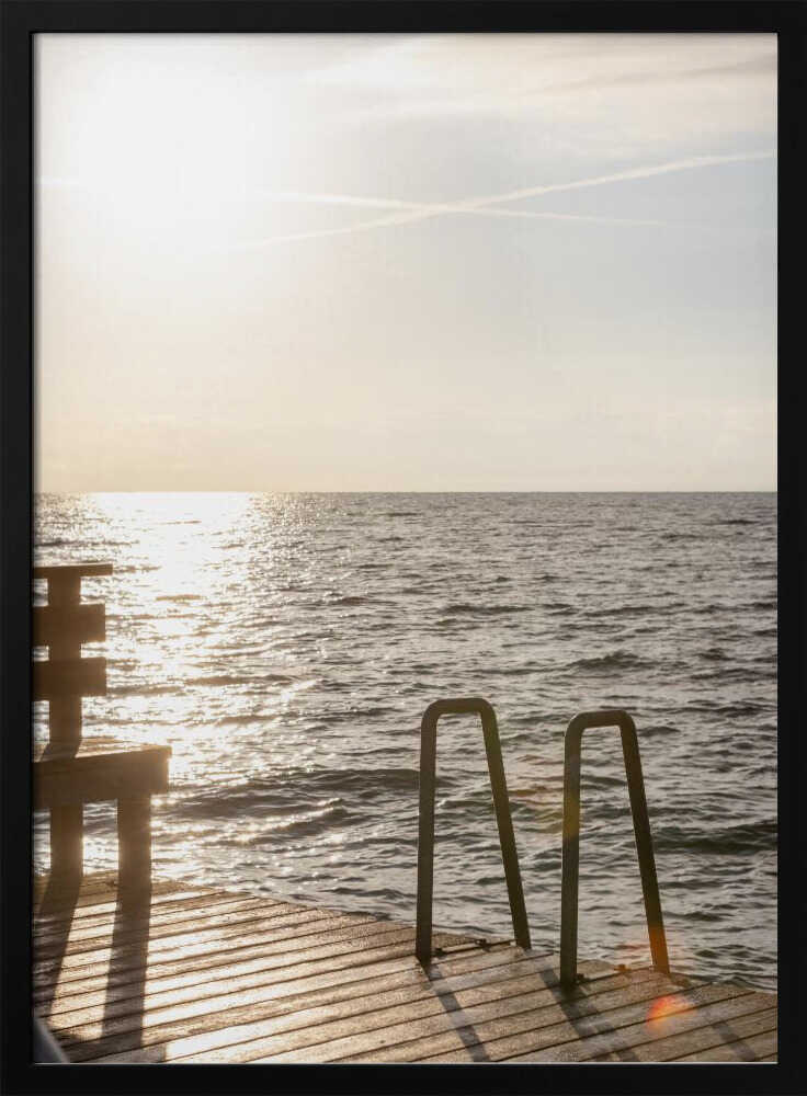 Summer Morning Swim Poster