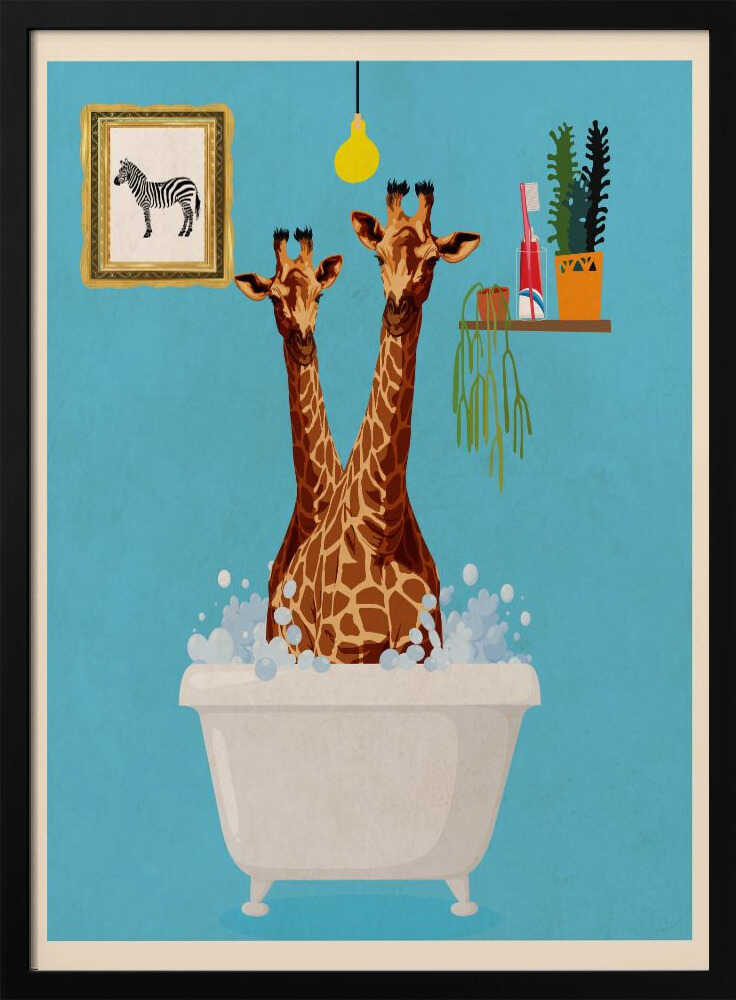 Giraffes In Bath Poster