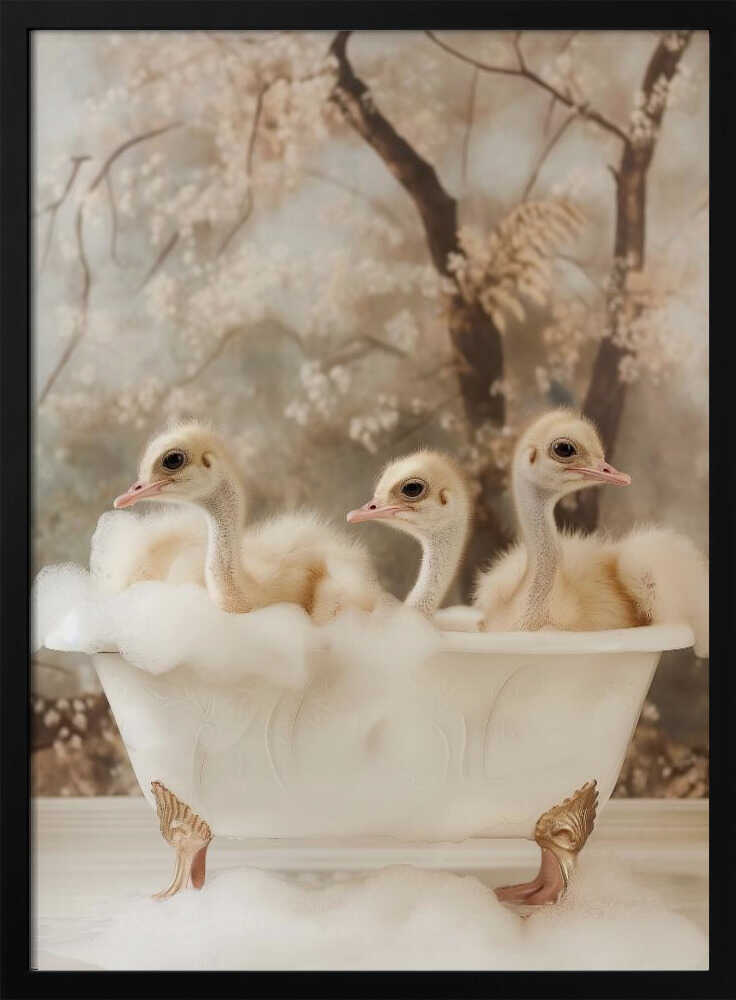 Bubbly Ostrich Trio Poster