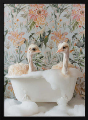 Feathered Fun Poster