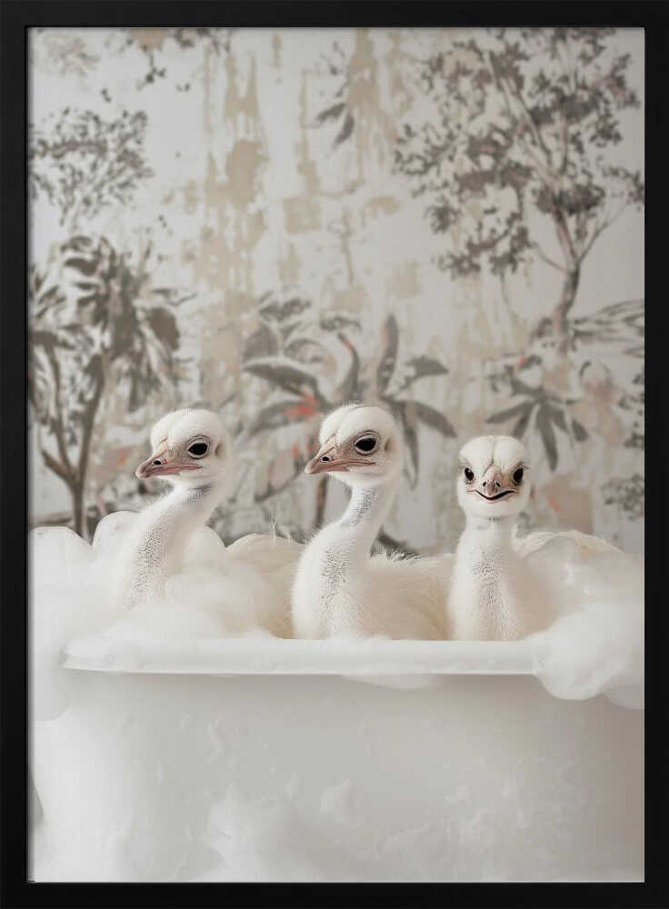 Ostrich Bath Time Delight Poster