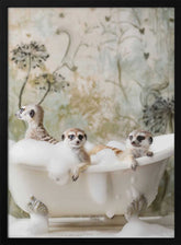 Meerkat Bubble Bath Poster