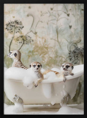 Meerkat Bubble Bath Poster