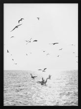 Seagulls At Sea Poster