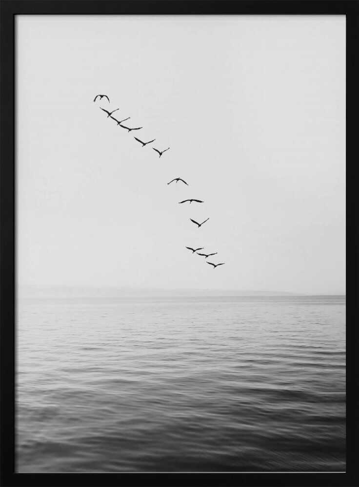 Flying Birds Poster