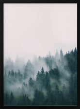 Forest Poster