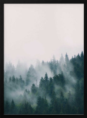 Forest Poster
