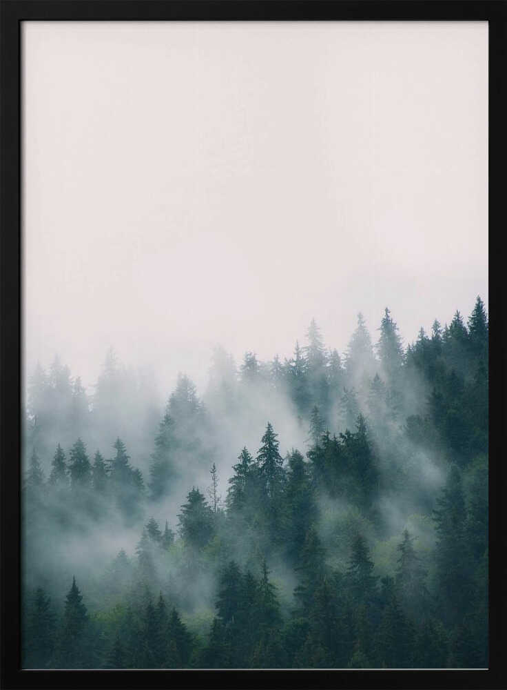 Forest Poster