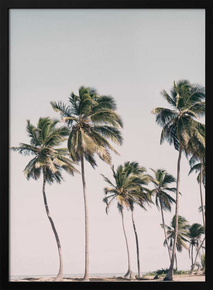 Blush Tropical Trees Poster
