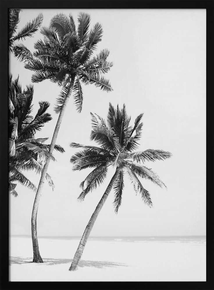 Island Poster