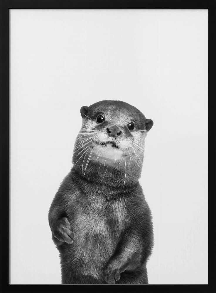 Otter Poster