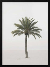 Palm Poster