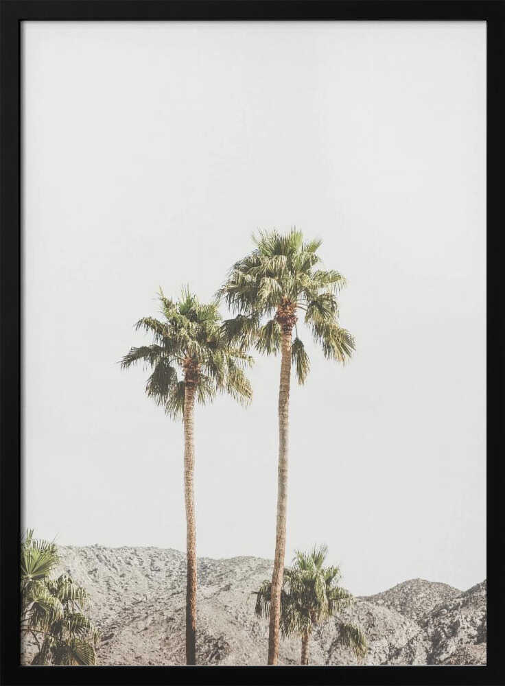 Palm Springs Palms Poster