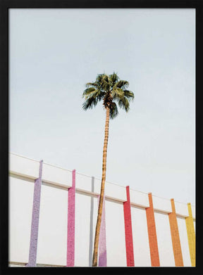 Palm Spring Colors 2 Poster