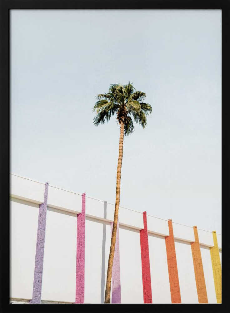 Palm Spring Colors 2 Poster