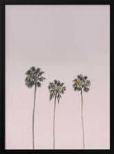 Palms On Pink Poster
