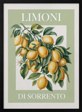 Limoni Di Sorrento 2 Poster