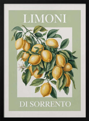 Limoni Di Sorrento 2 Poster