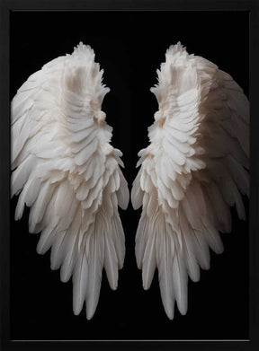 White Wings Poster