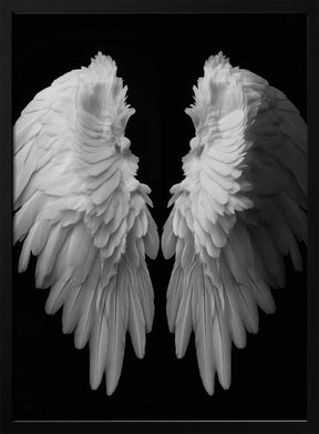 White Wings Poster