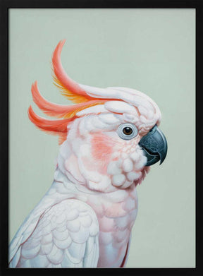 White Cockatoo No 1 Poster